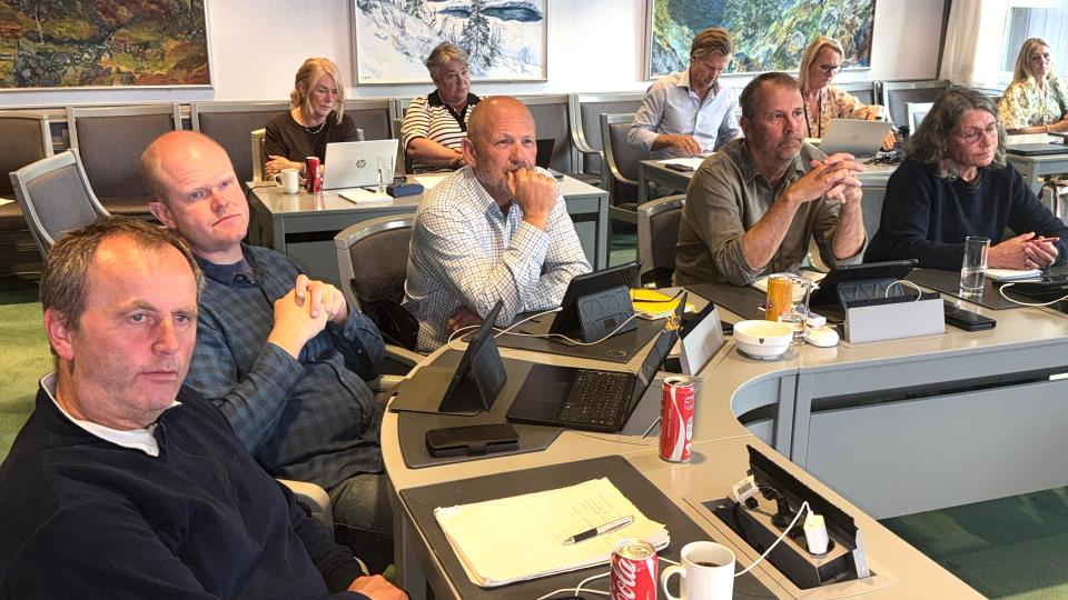 Lenkje til artikkel: Frå sentrumsbygg til ungdomsråd i Bykle kommunestyre